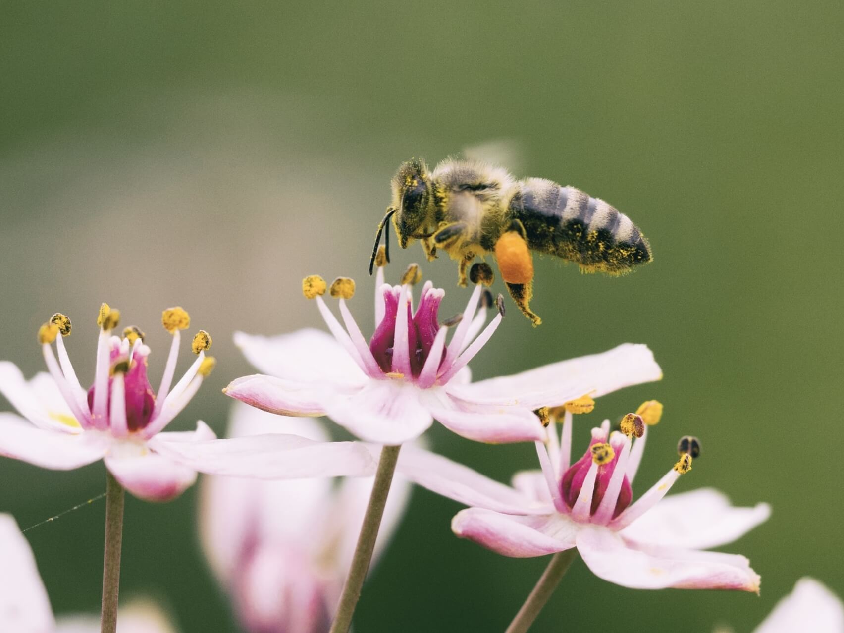 Self-Loving Energy Healing Practice