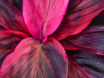 Embodied Journey: 'Parts Work' 