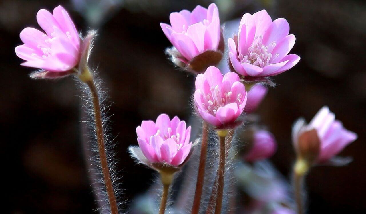 Full Body Relaxation