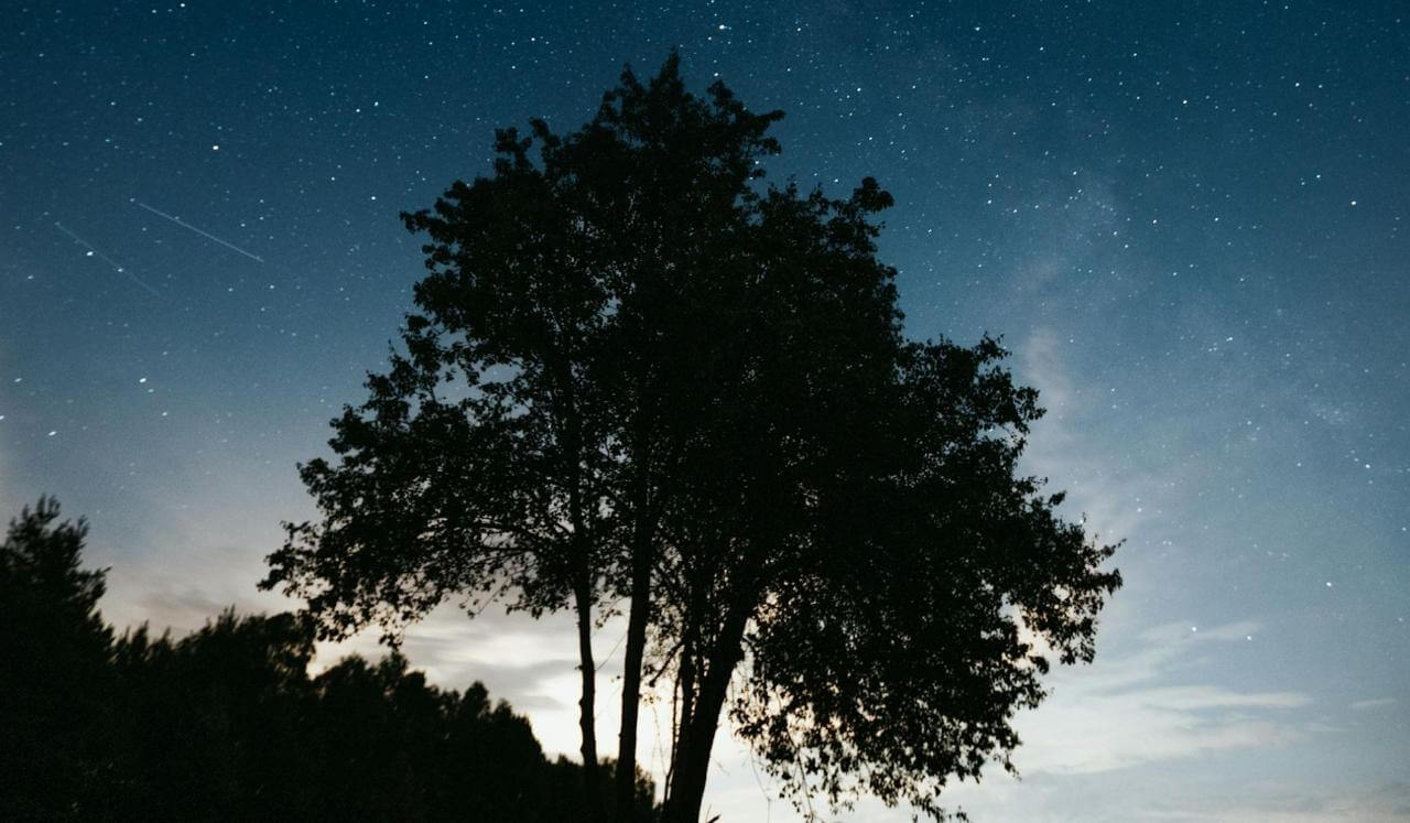 Meditación Para Dormir Con Ruido Marrón