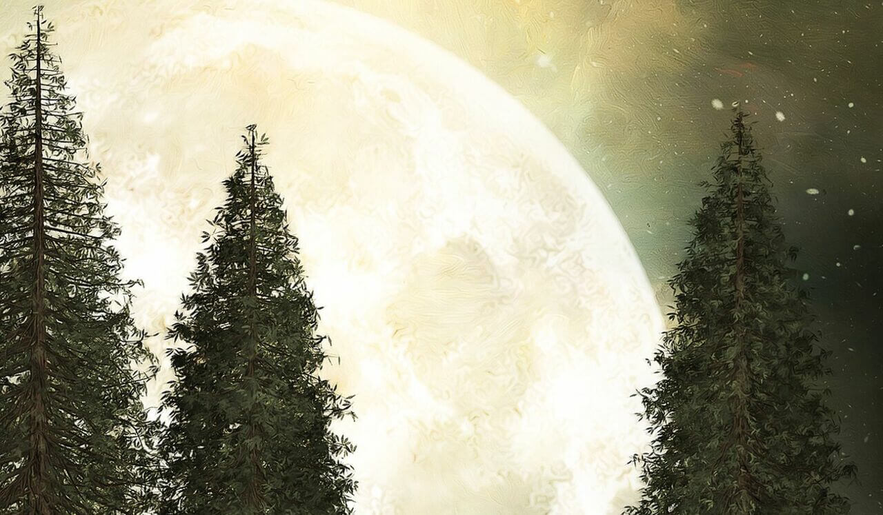 Honoring The Moon