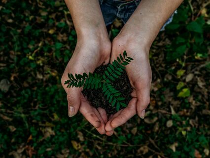 Healing Meditation For The World