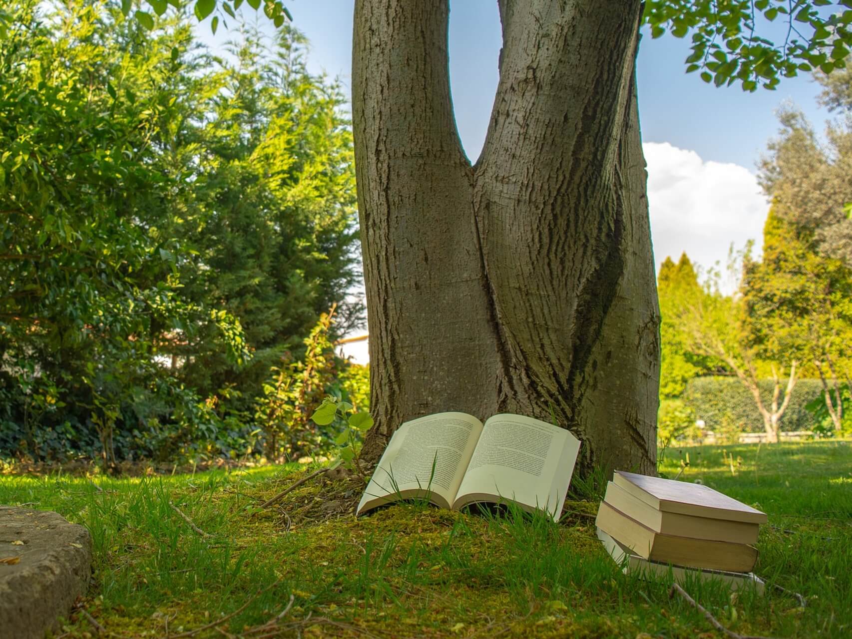 Focus Study Music Session