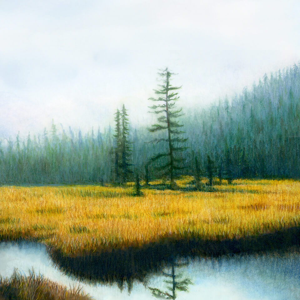 Meditation Music to Set You Free from Grief