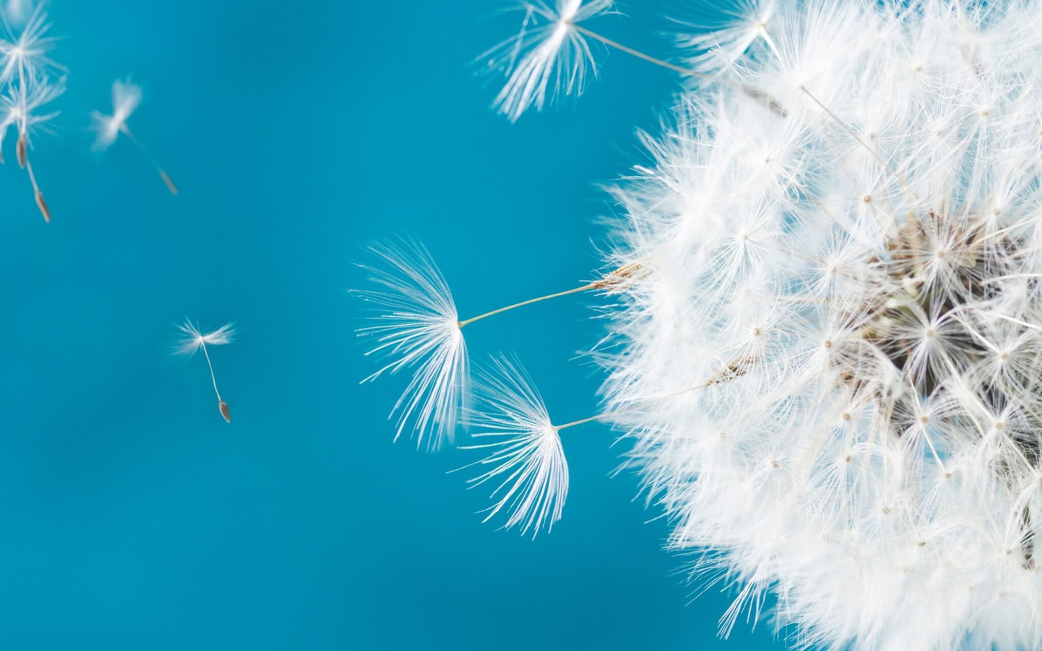 Breathing For Anxiety - Coherent Breathing