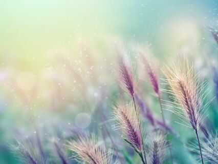 10 Minutos de Plenitud