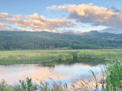 Morning Anchor For Hair Pulling