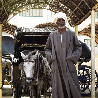 Ancient Indian Stories: The Old Washerman And The Donkey | Jim Rajan