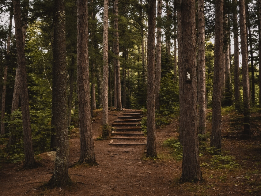 Mindful Barefoot Walking Meditation: Grounding To The Earth