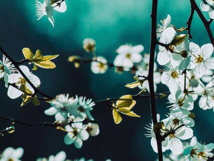 Overcoming Anxiety And Reconnect With Your Balance Through Music - by Pablo Villegas