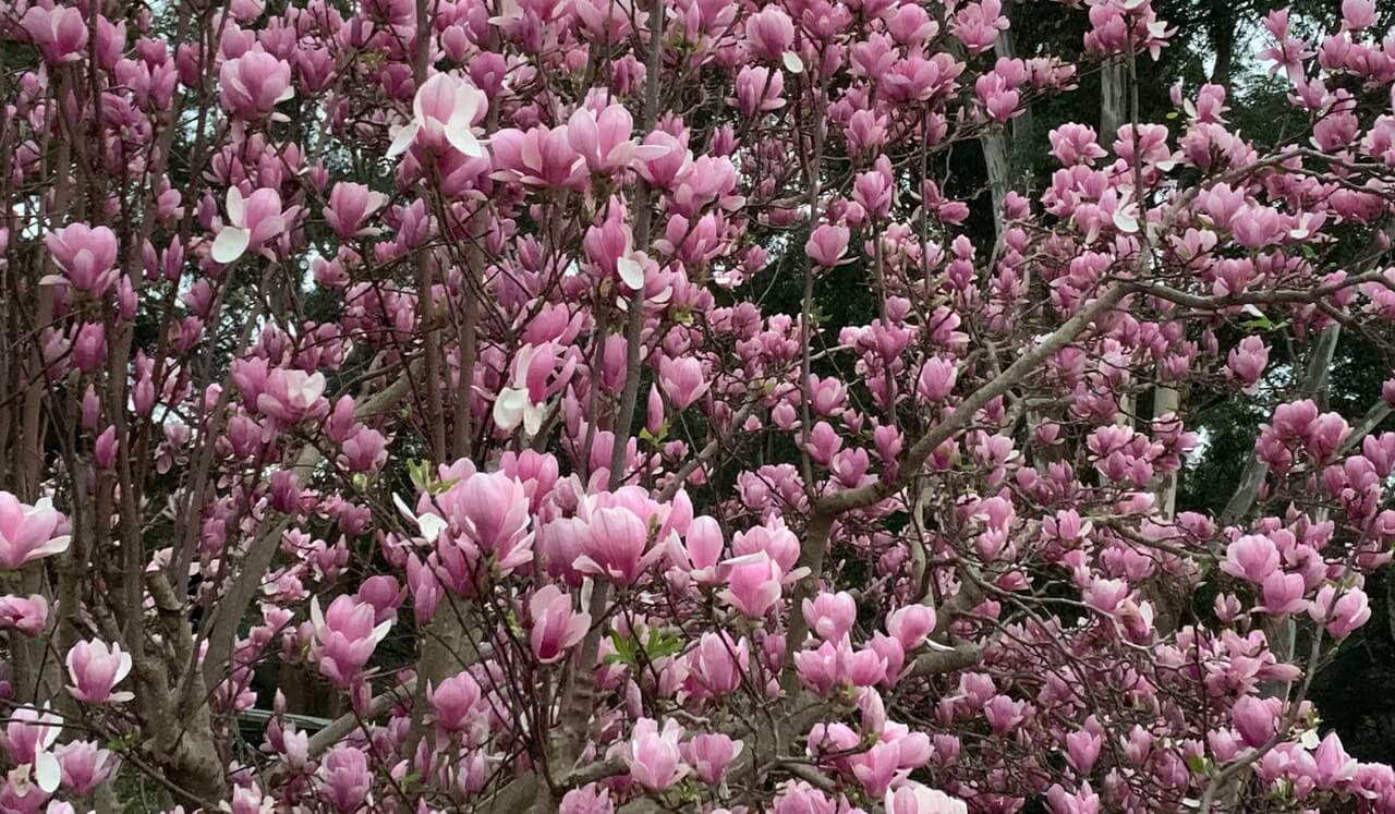 Somatic Tracking For Safety