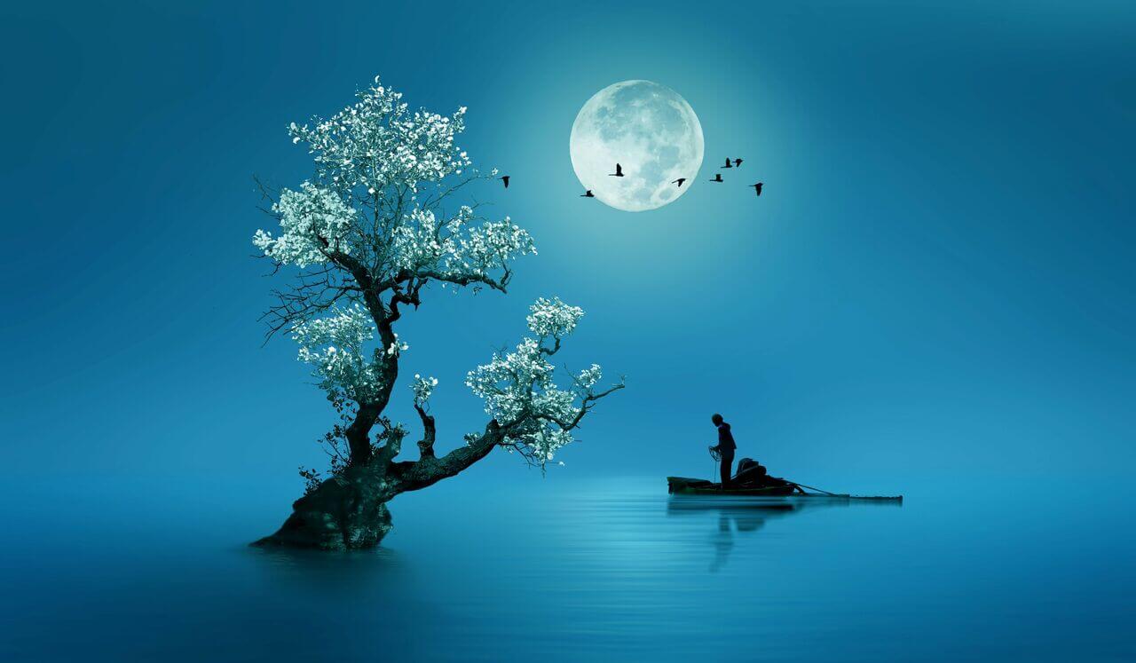 Yoga Nidra Sleepy Sleep