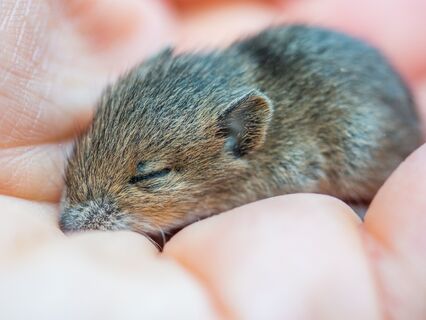 Relax Me For Performance And Longevity - by Linda Owen