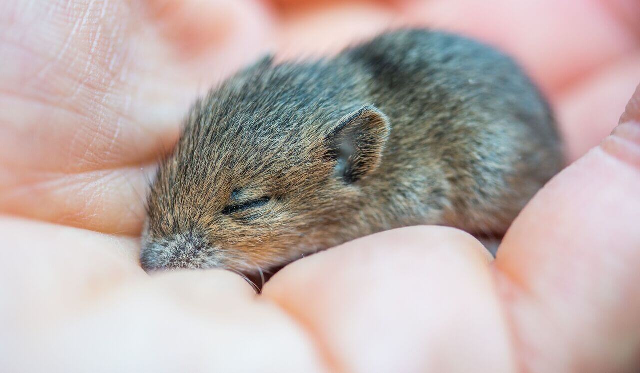 Relax Me For Performance And Longevity