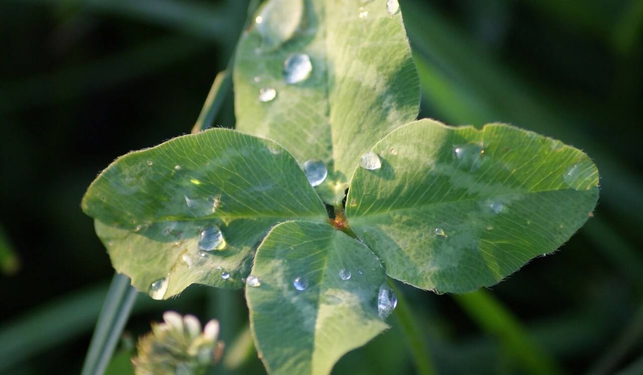 Four Questions for Inner Alignment: Level One