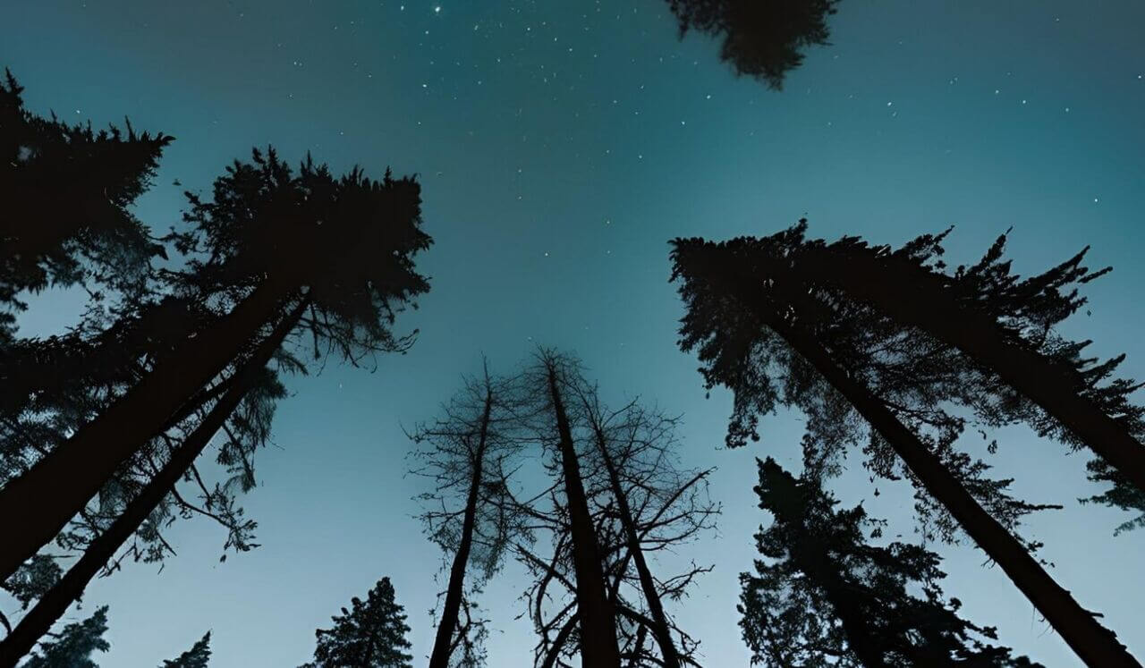 Release Trauma Signals - Horror