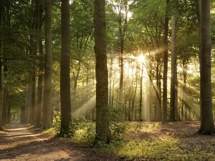 «День, ночь и рассвет моего внутреннего спокойствия»