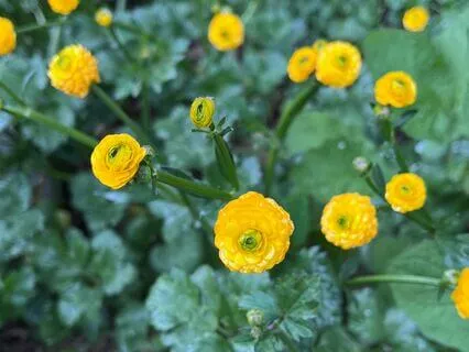 Контакт с Собой в Моменте. Исследуем: Как я сейчас?