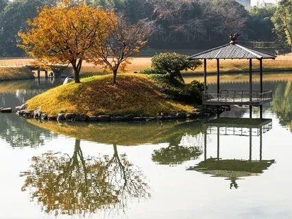 What Trees Can Teach Us