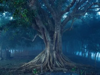 Альфа-Медитация - Стоп Тревога