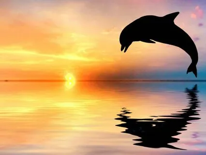 Альфа-Настрой Щедрость Души