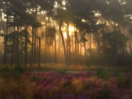 Аффирмации Здоровья В Стиле Луизы Хей