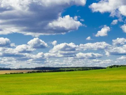 Безмятежность лета. Созерцание и расслабление