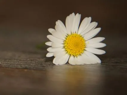 Безмятежность