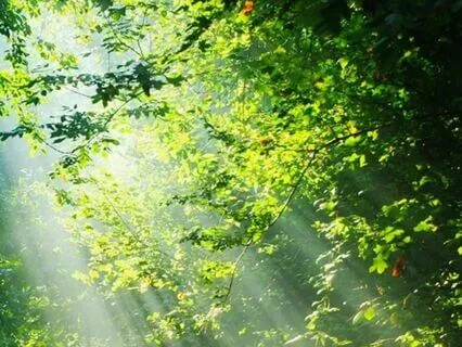 Быть себе другом — практика внутренней поддержки