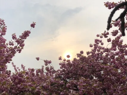 Внимательная прогулка