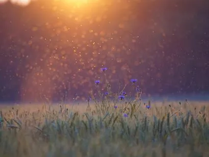 Внутрішнє сяйво