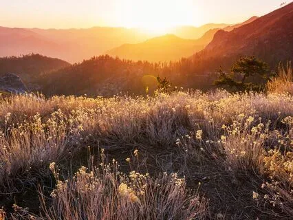 Высокие вибрации благодарности - мощная мотивация на утро