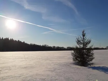 Добрые Мысли, Настрой На Здоровье