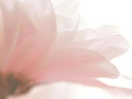 Дыхание беременности | Практика для будущих мам