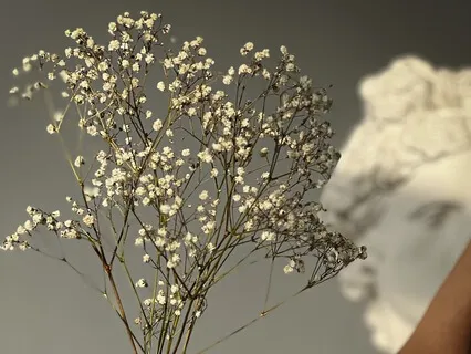 Дыхание для восстановления сил