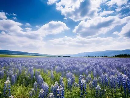 Дыхательная медитация Моя жизнь становится лучше