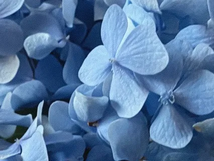 Женская медитация "Я драгоценная женщина"