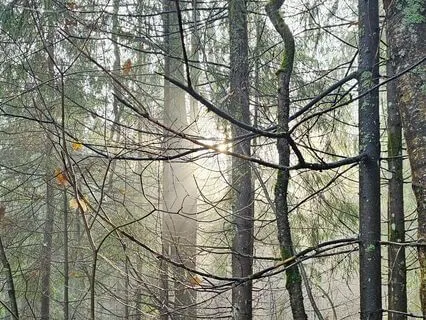 Комната ответов