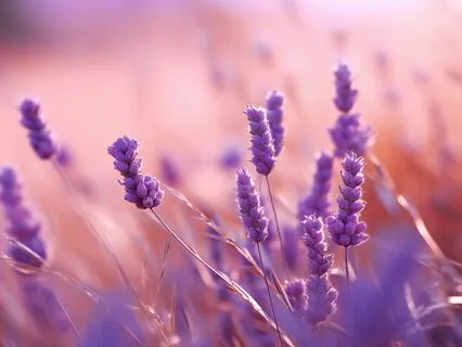 Личный кусочек рая - медитация