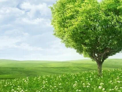 Медитация анти-стресс (управление стрессом)