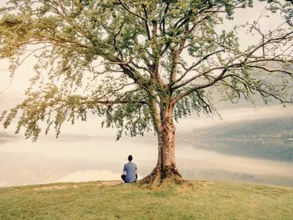 Медитация Для Обретения Внутренней Опоры "Древо Жизни"