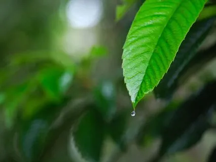 Медитация Для Снятия Тревоги И Страха Перемен