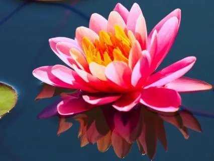 Медитация накопления жизненных сил | Альфа-состояние