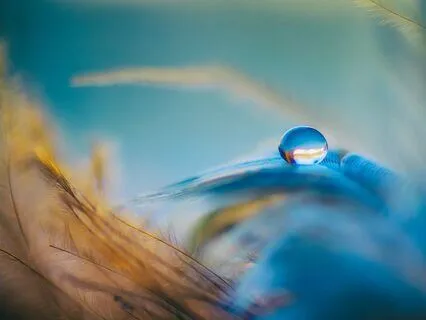 Медитация "Принятие себя"