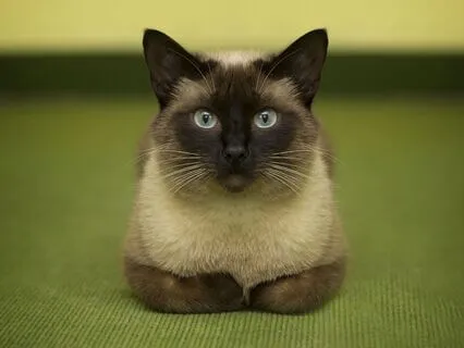 Медитация Ясности. Встреча с Реальностью.