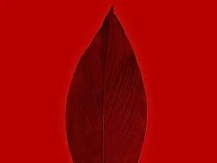 Мetta  - Раскрытие сердечной чакры