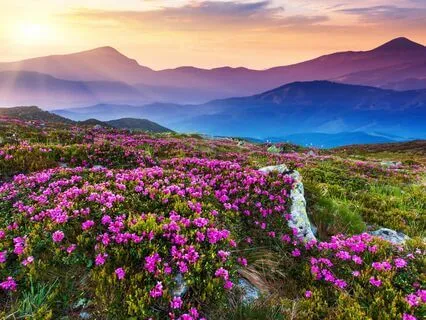 Молитва благодарности творящая Чудеса