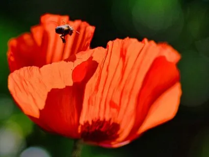 Мощная Медитация На Раскрытие Корневой Чакры Муладхара