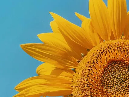 МОЩНАЯ МЕДИТАЦИЯ НА РАСКРЫТИЕ ЧАКРЫ МАНИПУРЫ