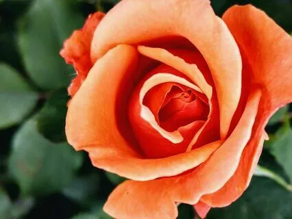 Мощная Медитация На Раскрытие Чакры Свадхистана